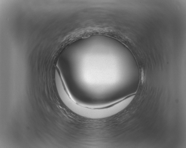 X0000080801492200701051406
