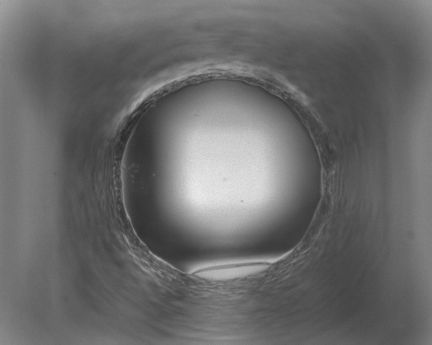 X0000080801496200701051406