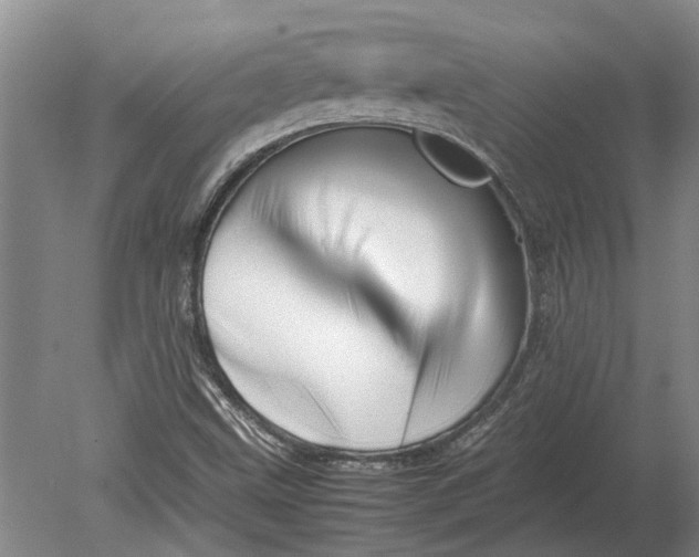 X0000080801499200701051406