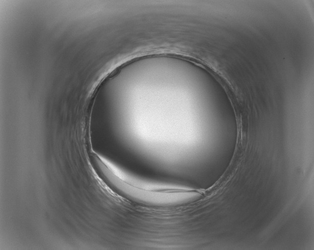 X0000080801500200701051406