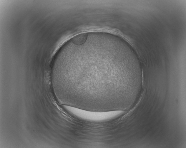X0000080801501200701051406