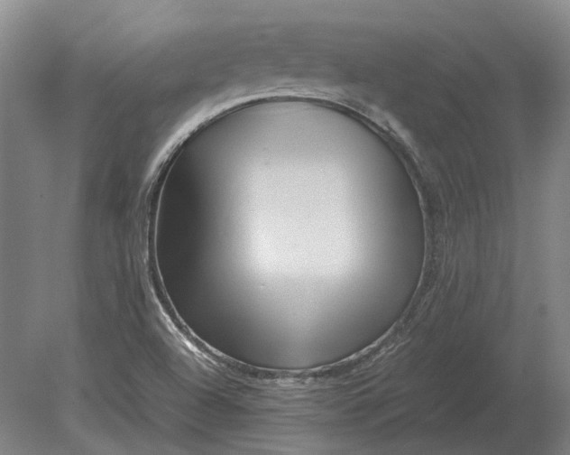 X0000080801504200701051406