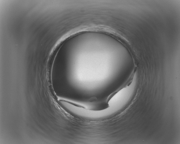 X0000080801506200701051406