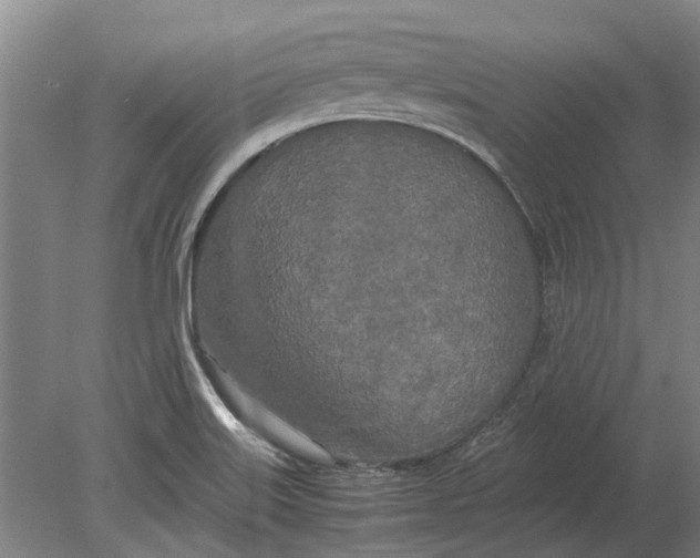 X0000080801515200701051406