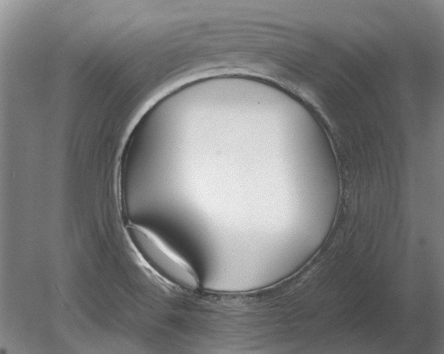 X0000080801516200701051406