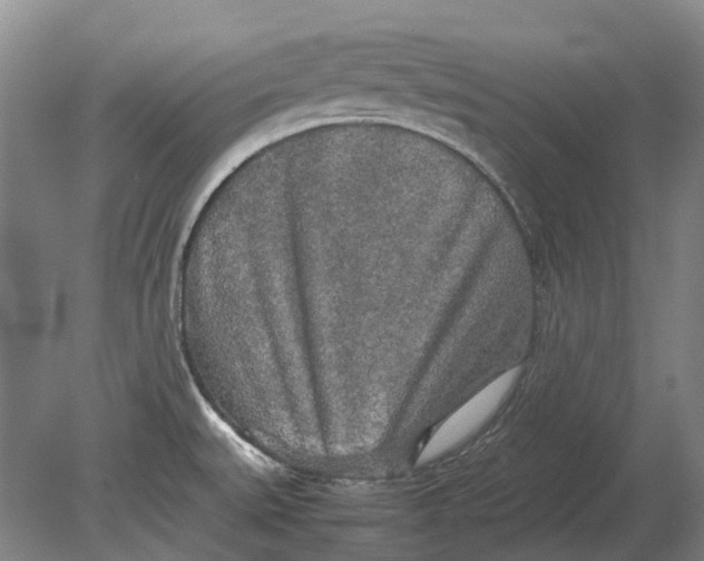 X0000080801527200701051406
