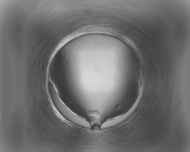 X0000080801528200701051406