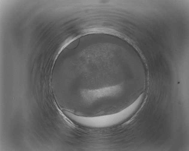 X0000080801529200701051406