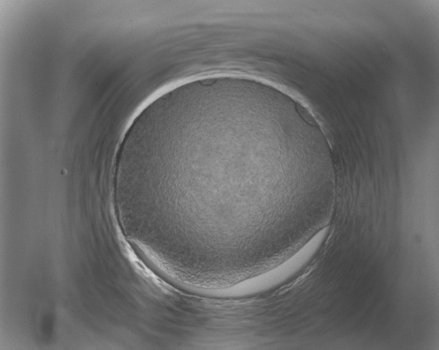 X0000080801534200701051406