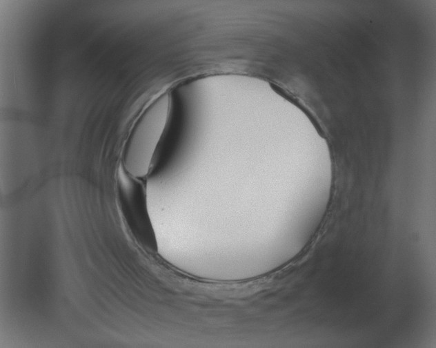 X0000080800001200701122227