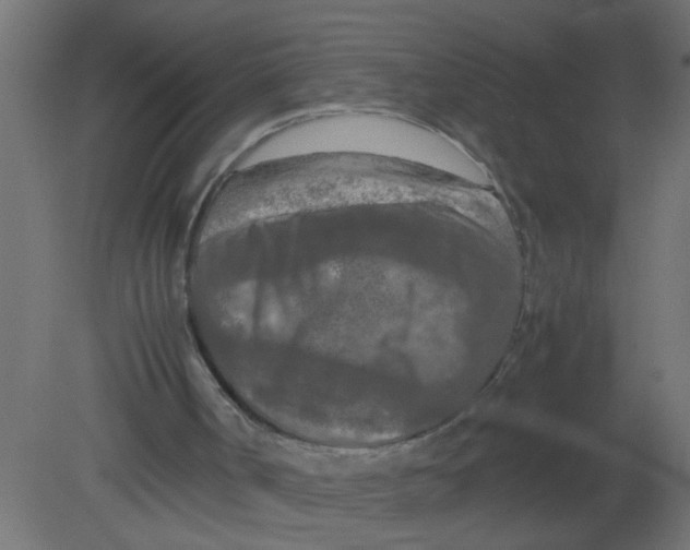 X0000080800002200701122227
