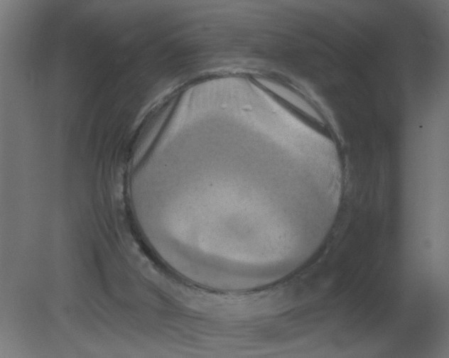 X0000080800010200701122227
