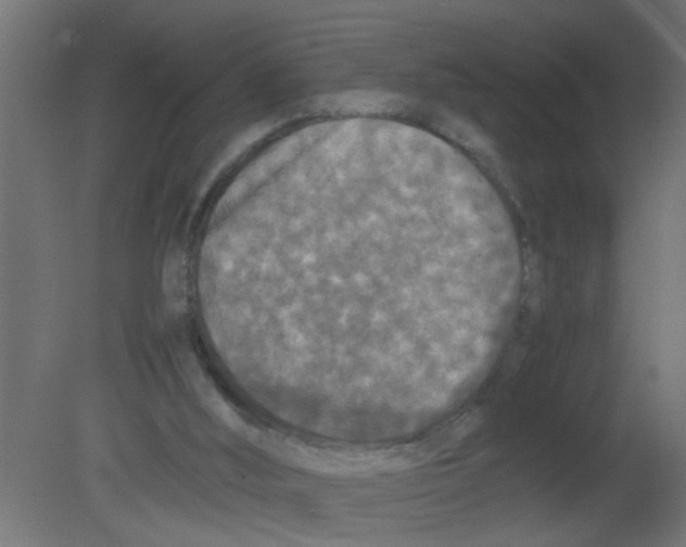 X0000080800012200701122226