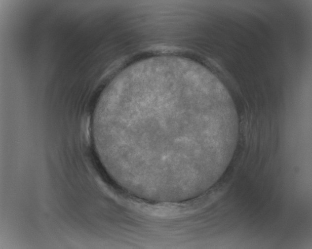 X0000080800024200701122226