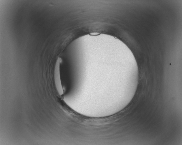 X0000080800025200701122226