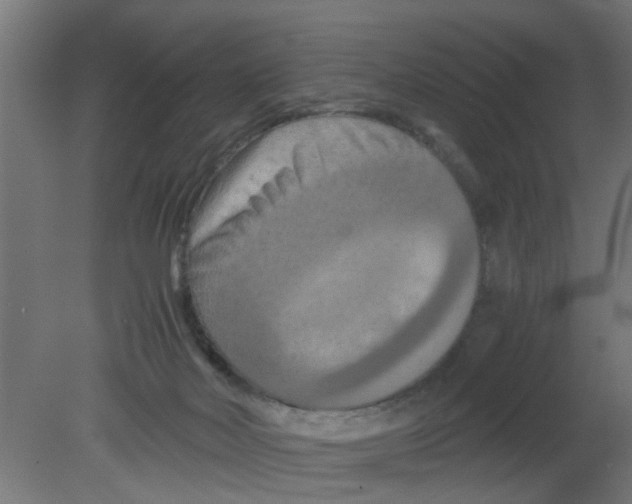 X0000080800026200701122226