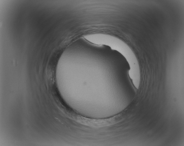 X0000080800031200701122226