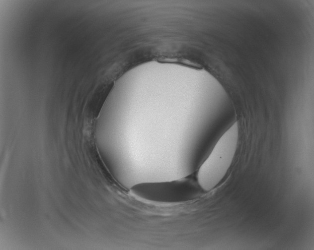 X0000080800033200701122226