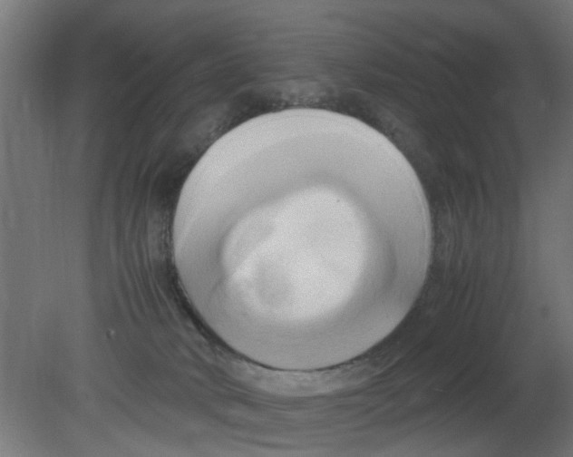 X0000080800034200701122226