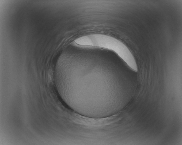 X0000080800035200701122226