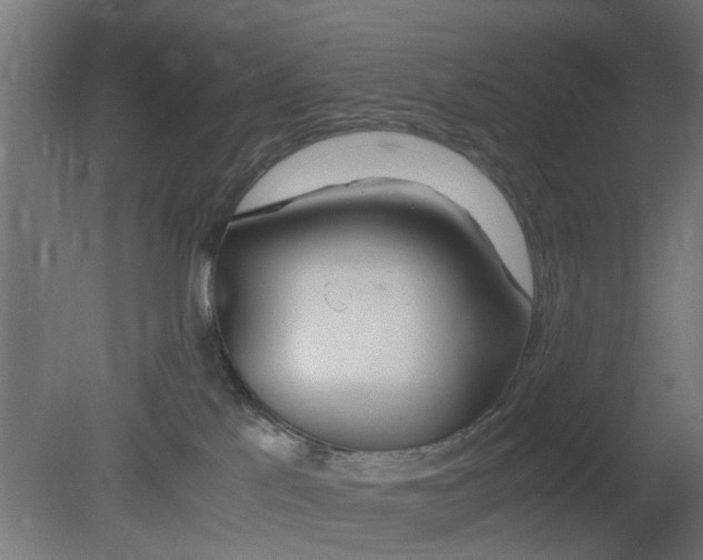 X0000080800041200701122226