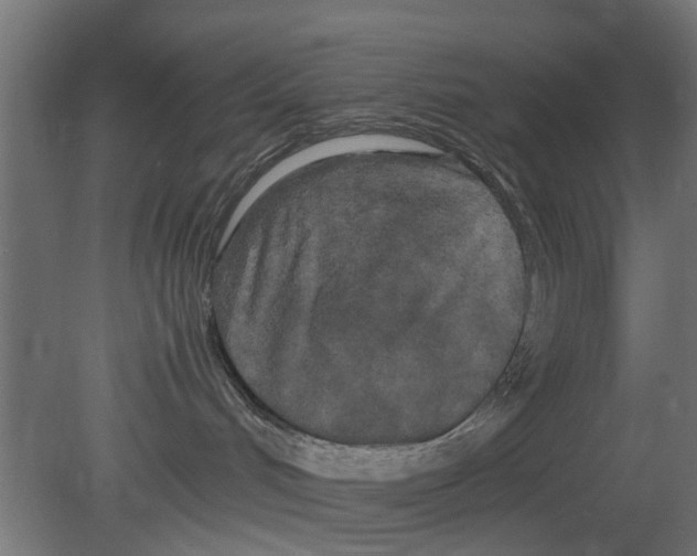 X0000080800048200701122226