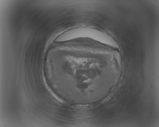 X0000080800049200701122225