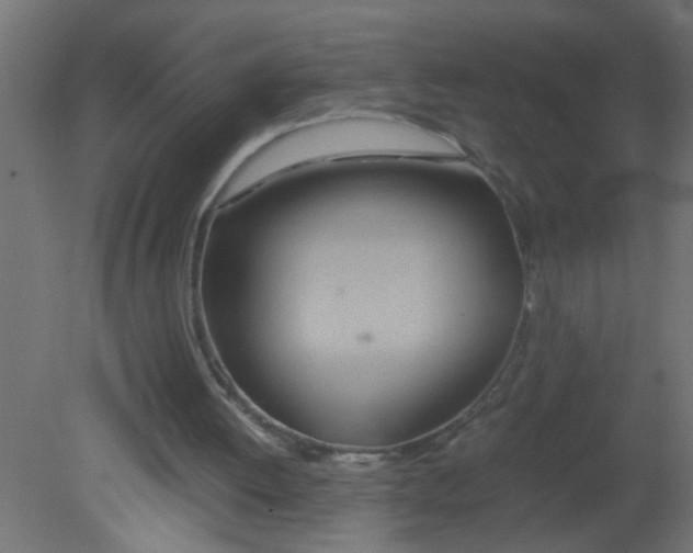 X0000080800052200701122225