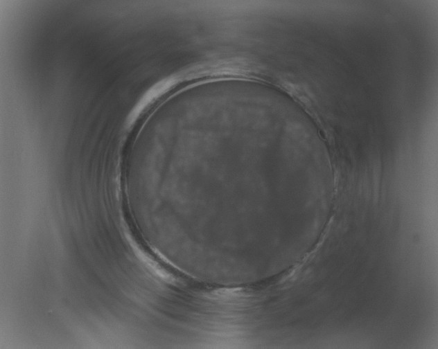 X0000080800054200701122225