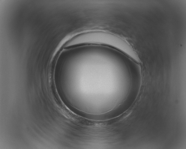 X0000080800056200701122225