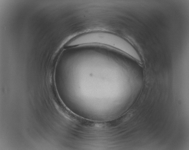 X0000080800060200701122225