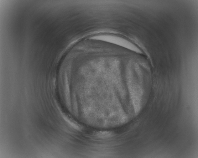 X0000080800063200701122225