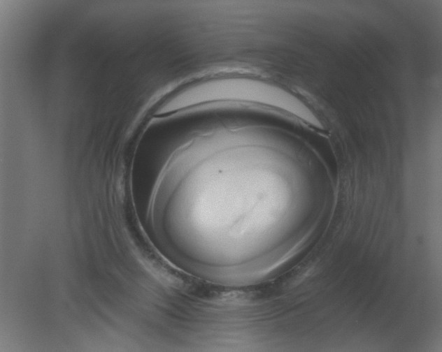 X0000080800064200701122225