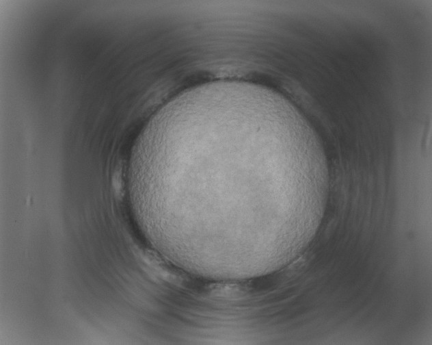 X0000080800074200701122225