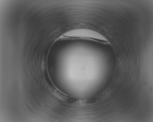 X0000080800080200701122226