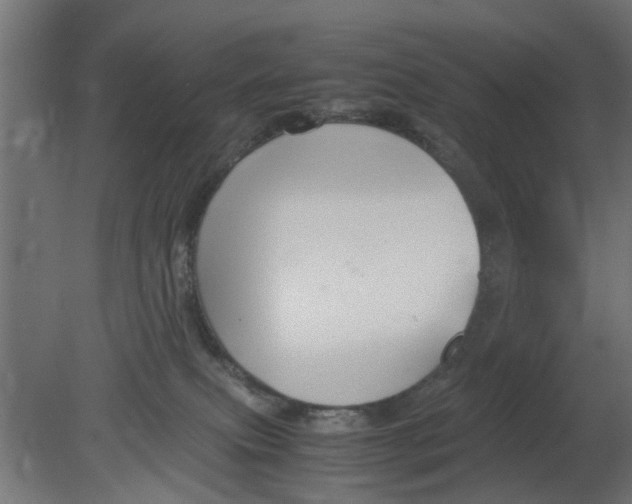 X0000080800087200701122226