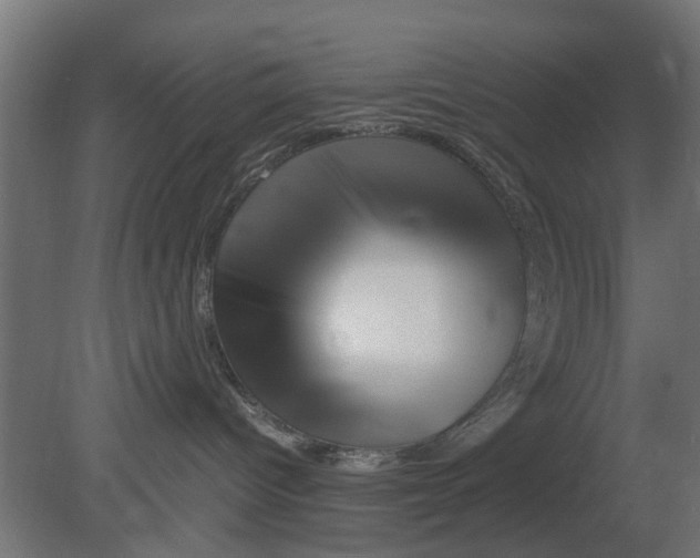 X0000080800096200701122226