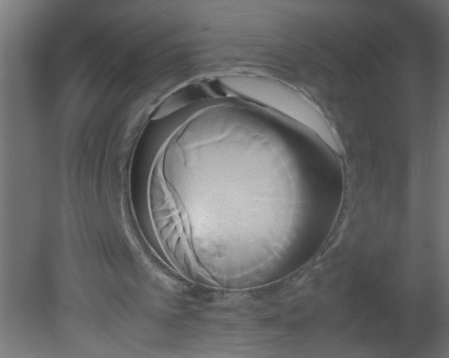 X0000080800097200701122225