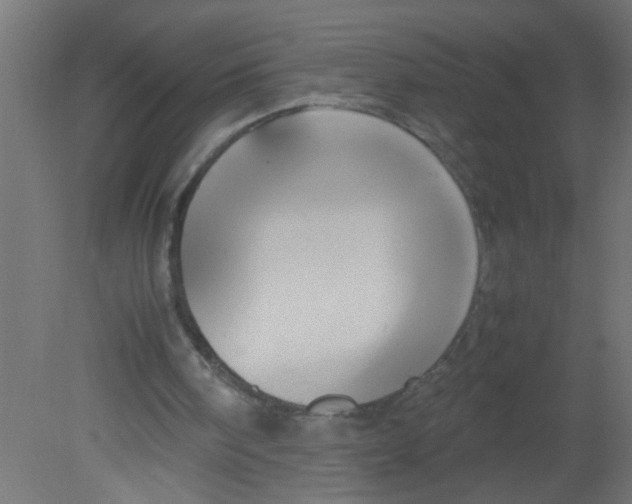 X0000080800098200701122225