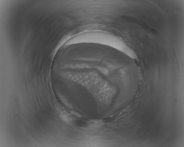 X0000080800099200701122225