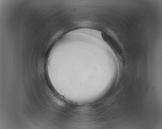 X0000080800106200701122225