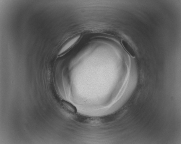 X0000080800113200701122225