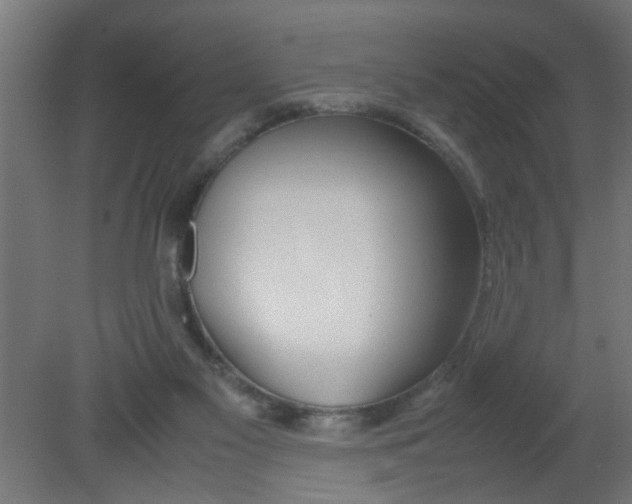 X0000080800117200701122225