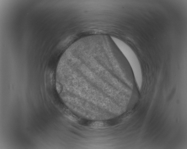 X0000080800123200701122225