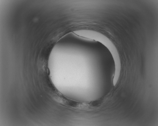 X0000080800125200701122225