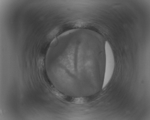 X0000080800127200701122225