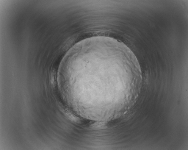 X0000080800138200701122224