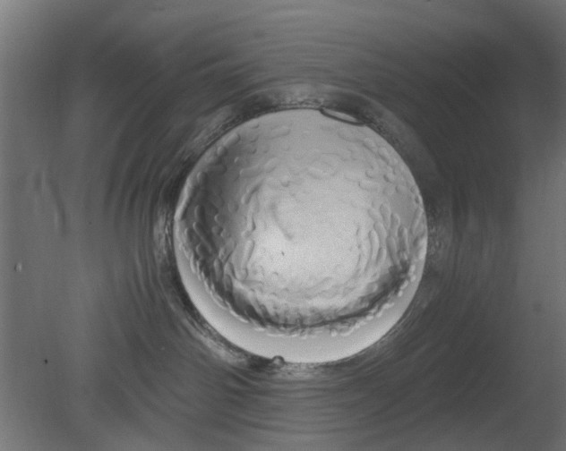 X0000080800142200701122224