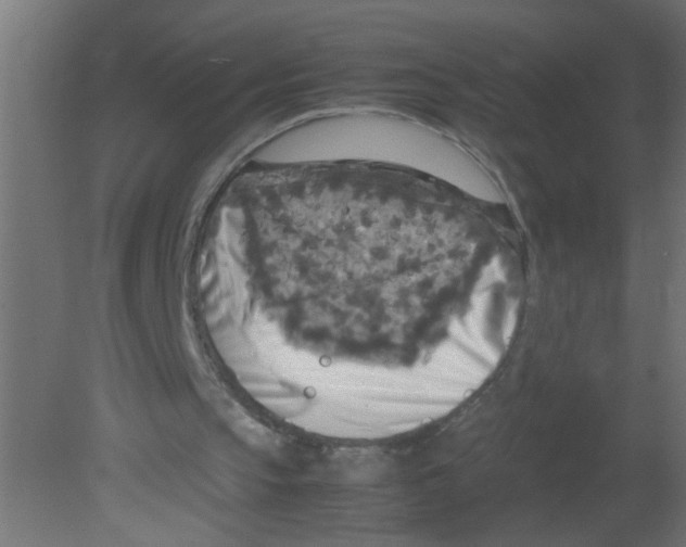 X0000080800145200701122223