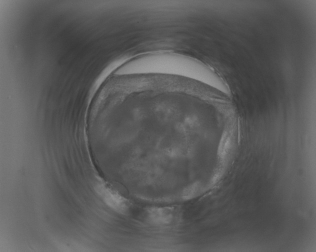 X0000080800147200701122223